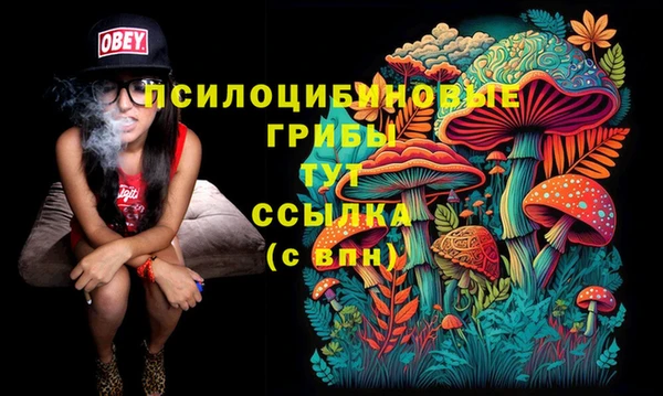 наркотики Гусев