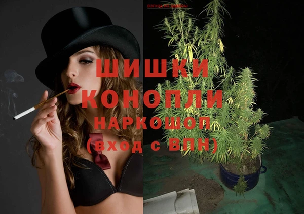 spice Абаза