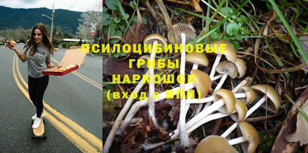скорость Алексин